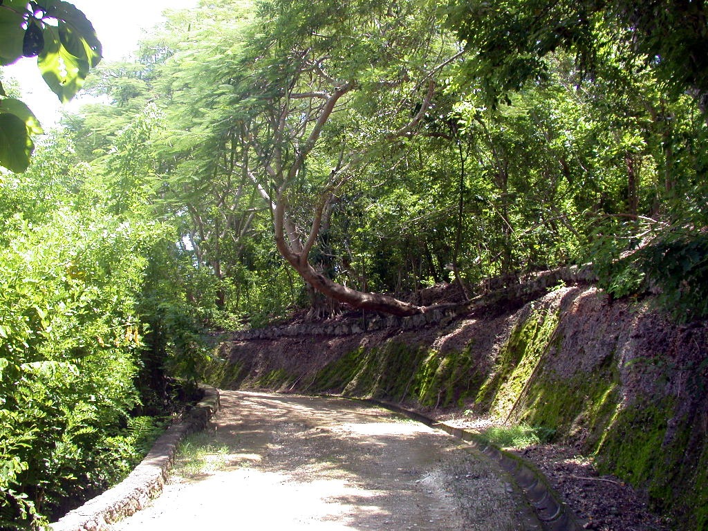 flungasan30